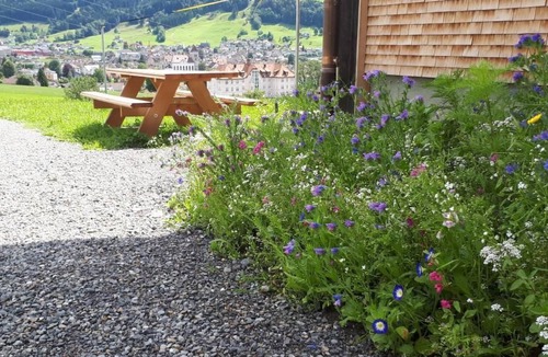 Appenzell Apartment | Haus Lauften by Interhome