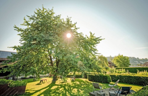 Obererlinsbach Apartment | Hirschen Erlinsbach by Interhome