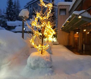 Davos-Platz Apartment | Holiday Apartment Davos Residence