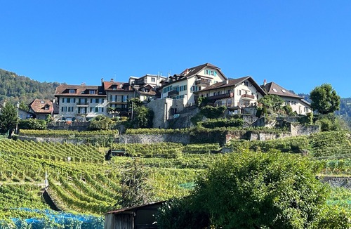 Montreux Apartment | Holiday flat "La Vigneronne, Appartement Le Lac"