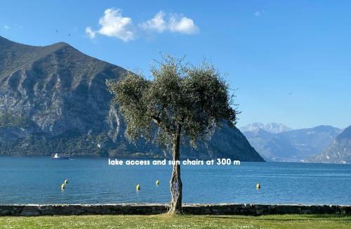 Iseo Apartment | Holiday home Punta D'Oro with garden, parking place and lake access at 300 m