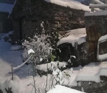 Menarola House | Il Nido Nel Bosco