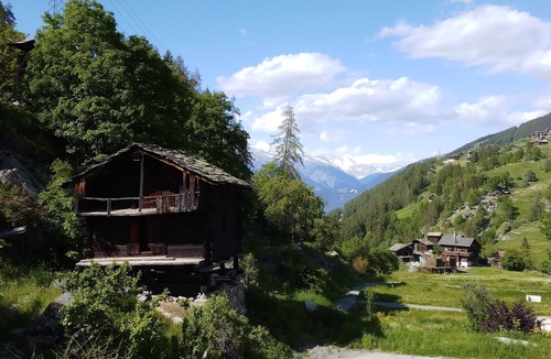 Graechen Apartment | La Collina,Haus C, by Interhome