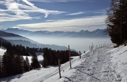 Montreux House | La Vigneronne, Tuin