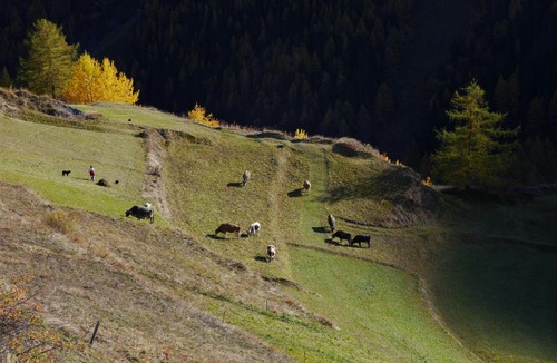 Evolene Ski Chalet | Les mayens de la Forclaz