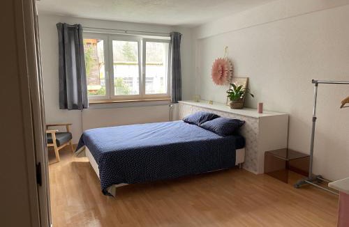 Boudry House | Les Rossets