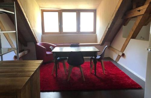 Susch Apartment | Loft 100m2, im Ökohaus in Susch
