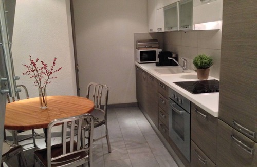 Carouge Apartment | Loft Apartment Vieux Carouge