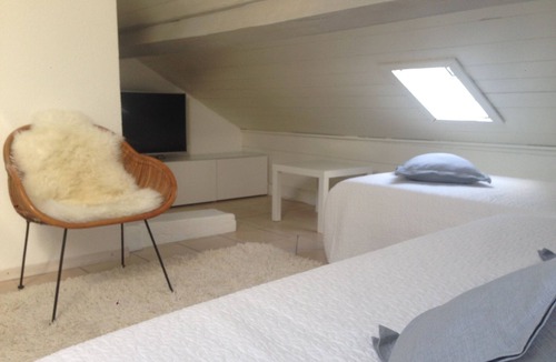 Carouge Apartment | Loft Apartment Vieux Carouge