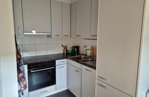 Seefeld Apartment | Lovely Apartment right next to the Opera and Zurich Lake
