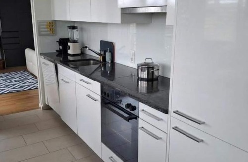 Allschwil Apartment | Mirami Apartement with Private Parking and Basellandcards