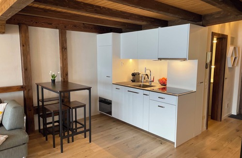 Orselina Apartment | Modern Maisonette Gem with Stunning Lake Views – A Perfect Retreat for Allergy S
