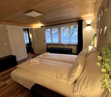 Boenigen Apartment | Mountain Homes - Kathmandu