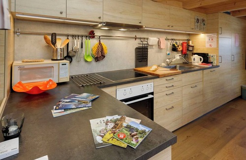 Brienzwiler Apartment | Nice apartment for 7 people with WIFI, TV, terrace, pets allowed and panoramic view