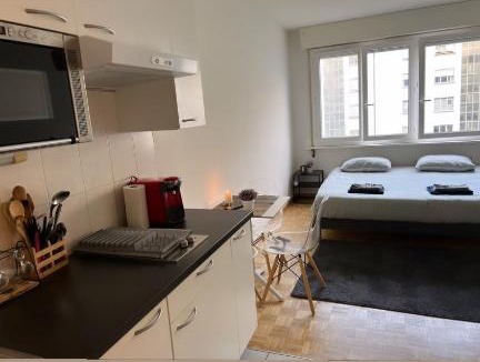 Downtown Geneva Apartment | Quenn Bee studio