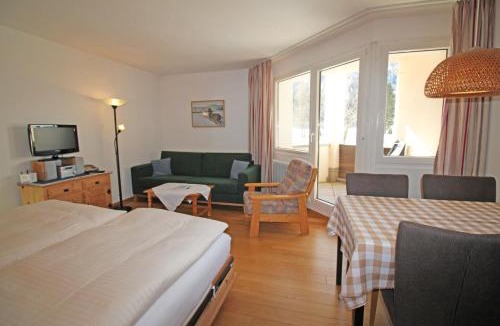 Sils-Maria Apartment | Residenza Lagrev 1 Zimmerwohnung - Nr 003 - Typ 12A - Hochparterre - Süd