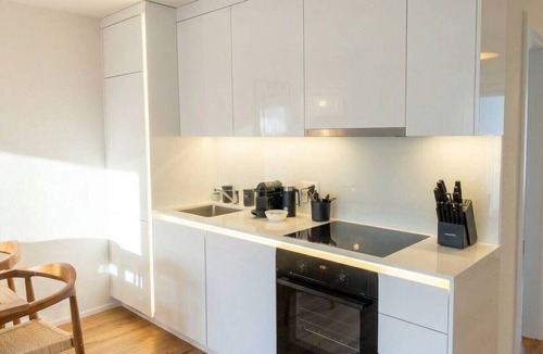 Glattbrugg Apartment | Riverfront Apt | Balcony | Zurich Airport | WiFi