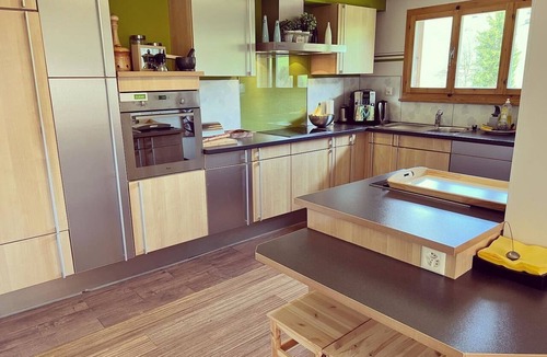 Ruedisbach Apartment | Serviced Apartment Chalet Bärgblüml i Habkern Appartement/Fewo 8-Bettwohnung by Interhome