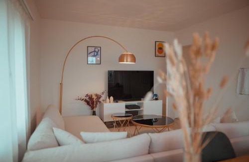 Widen Apartment | Sky Paradise 20min to zurich city centre