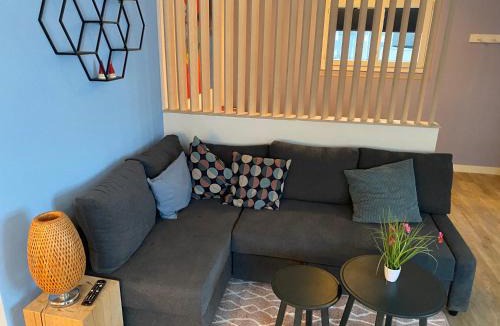 Willigen Apartment | Spring Inn Apartments