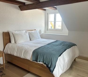 Horgen District Apartment | Stadtloft Suites Richterswil