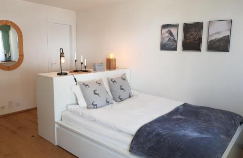 Nendaz Apartment | Studio - Cosy et central, Haute-Nendaz, 4 Vallées