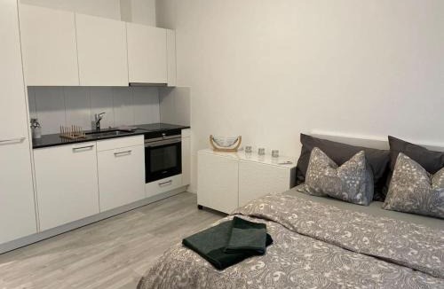 Raterschen Apartment | Studio mit eigener Dusche und Küchenzeile