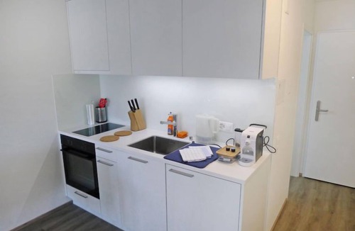 Lucerne Apartment | Superior by Interhome