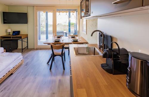Darligen Apartment | Surfers Oase near Interlaken at lake with pool