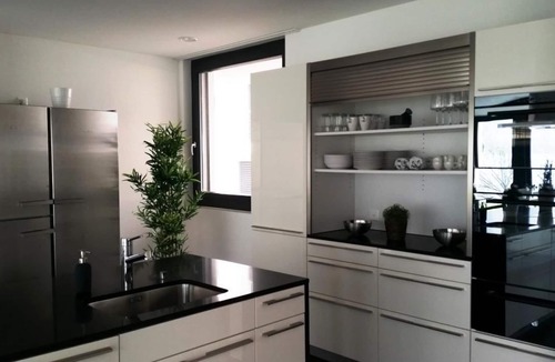 Sisikon House | Villa am See 3 - Beach House
