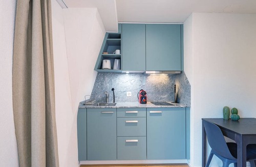 Hirslanden Apartment | ZH Mandibula 3 - Riesbach HITrental Apartments