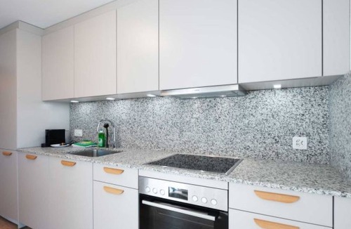 Center Apartment | ZH Pink 1 - Letzigrund HITrental Apartment by Interhome