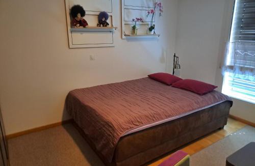 Uznach House | Zimmer möbliert in Uznach