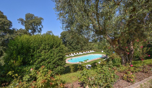 1 bedroom cozy apartment in Colà