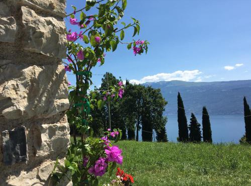 Agriturismo Casa del Castagneto