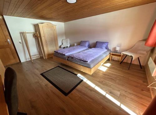 Alpenchalet Haldeli in Gstaad