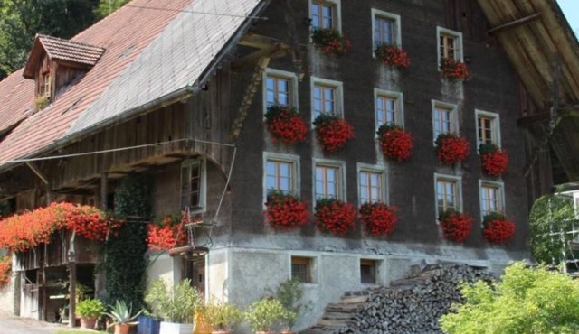 Altes Bauernhaus 1793 in Willisau by Interhome
