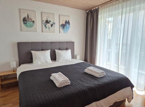 Apartment for 3, close to Zurich and Luzern, free private parking