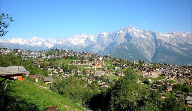 Apartment in Nendaz near Ski Slopes