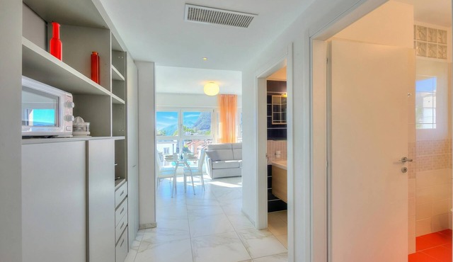 Attico al Parco: Penthouse in Lugano Balcony, A/C & 2 min From Lake