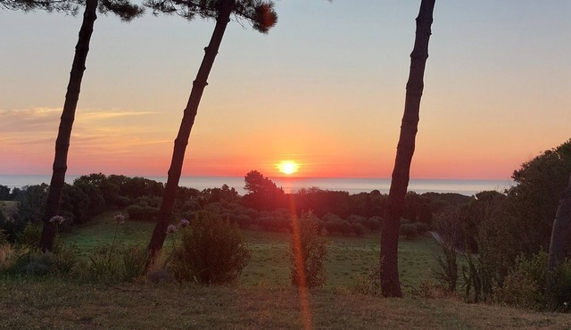 Bea&Berto | Complete apartment in the hills, a stone's throw from the sea in Marche