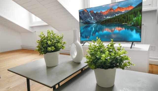 book2stay moderne Wohnung OLMA-Areal in St. Gallen