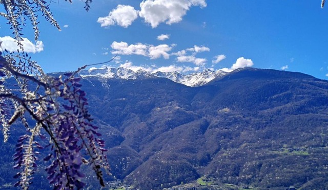 Casa il Glicine Valtellina in Tresivio