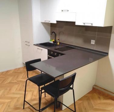 Central Living Brugg - B & W Apartment