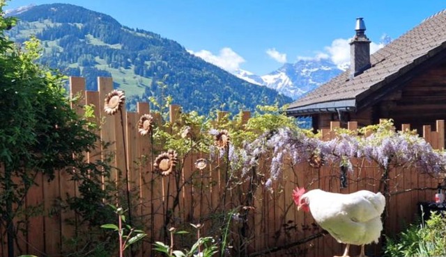 Chalet le Muveran