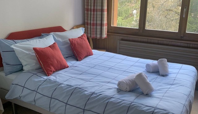 Chalet Majestic - Verbier, 3 bedroom apartment near the town centre super for family or small group