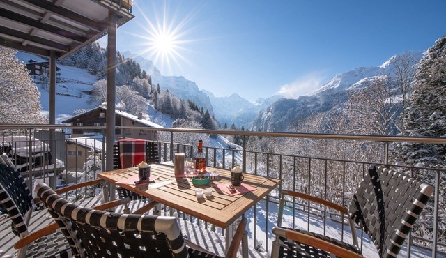 Chalet Mittaghorn Apt. 5