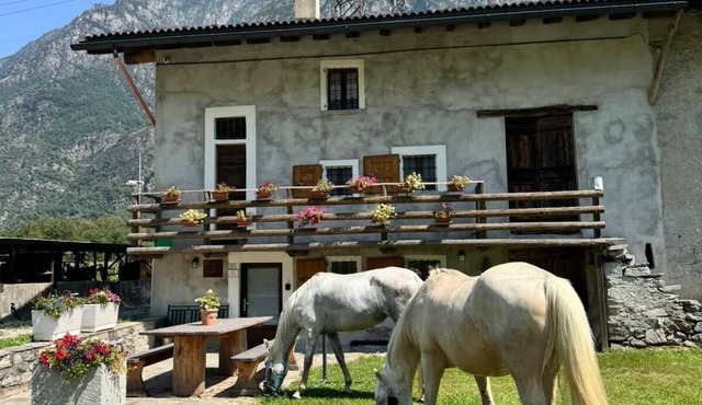 Charming farmhouse in northern Italy - nature, tranquillity & real agriturismo feeling in Samolaco