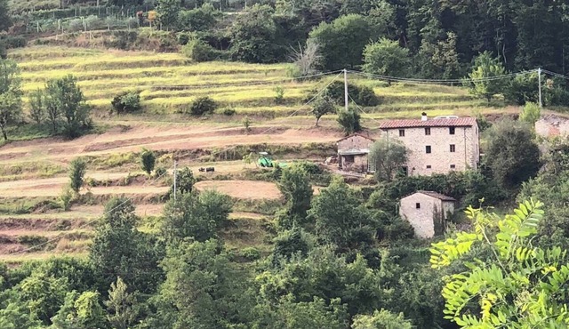 Charming farm house in Coreglia Antelminelli from 1718. in Coreglia Antelminelli