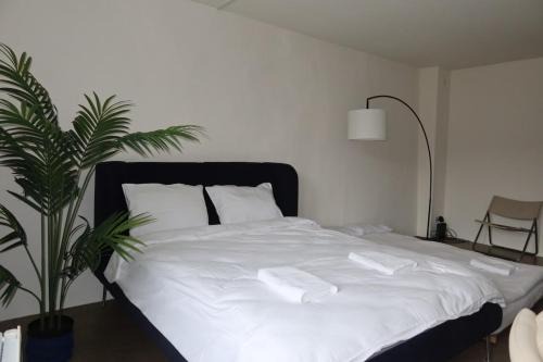 Charming Studio 111 - Krone